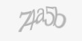 Защитный код