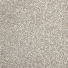 8109f0877710198e4bb1e2d79d58cfc7