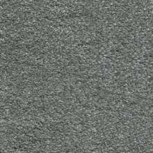 sirius29