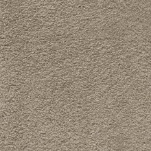softissimo39-19-07-31-13_057