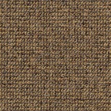 tweed49-20-03-29-14_092