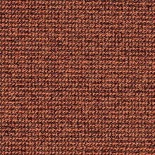 tweed66-20-03-29-14_095
