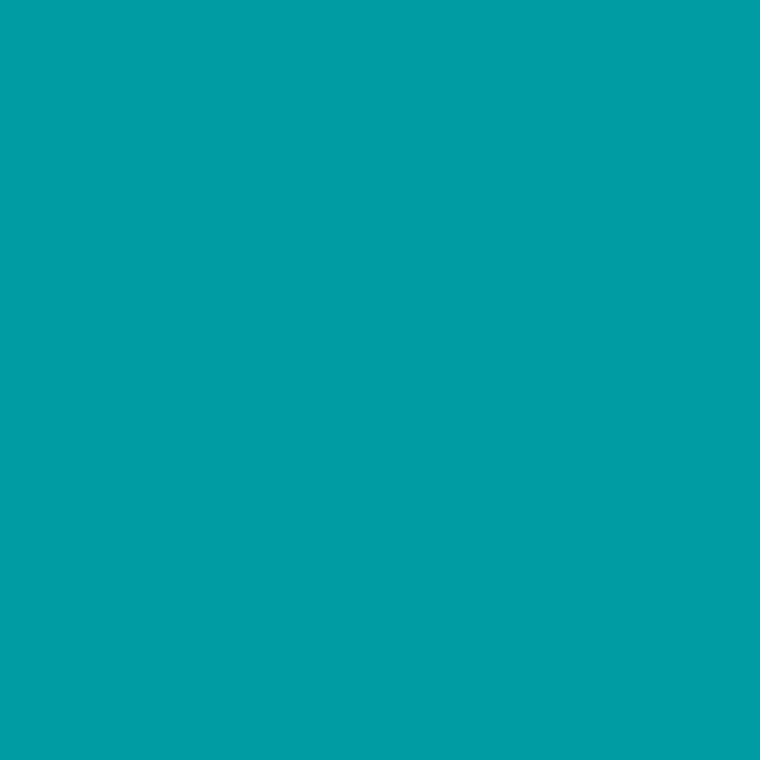 Спортивный линолеум Tarkett Omnisports Speed (R 35) Teal